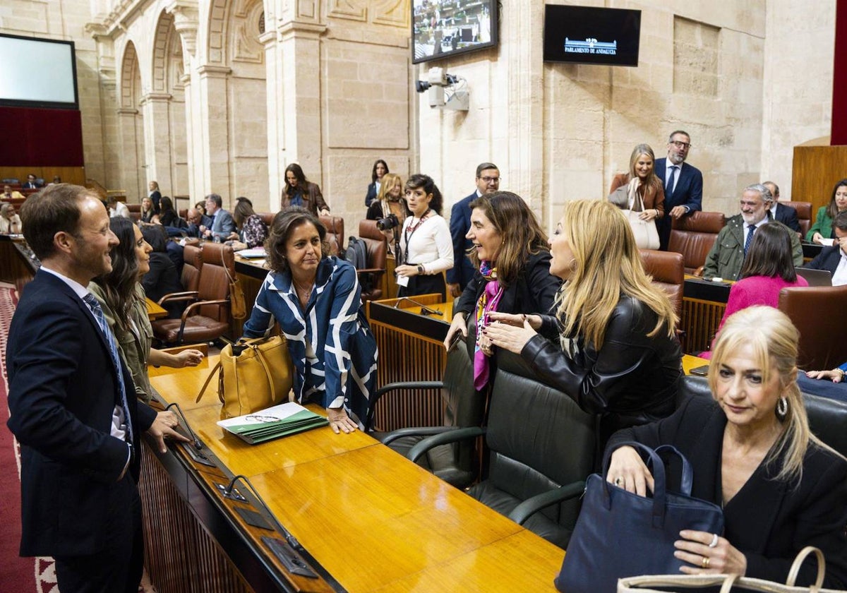 La consejera de Salud y Consumo, Catalina García, en el Pleno del Parlamento andaluz