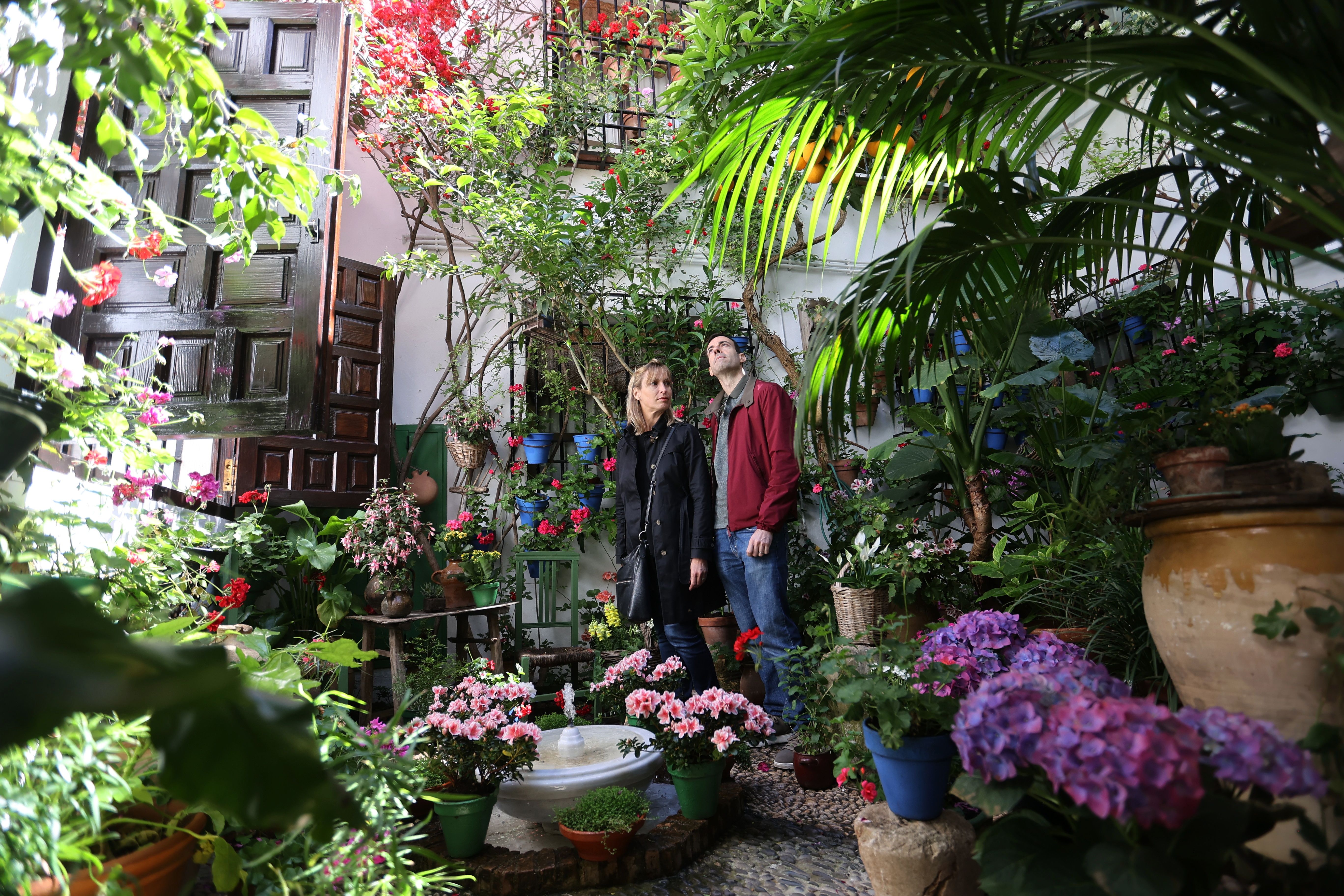 Las mejores imágenes de los Patios de Córdoba en los barrios de Santa Marina y San Agustín
