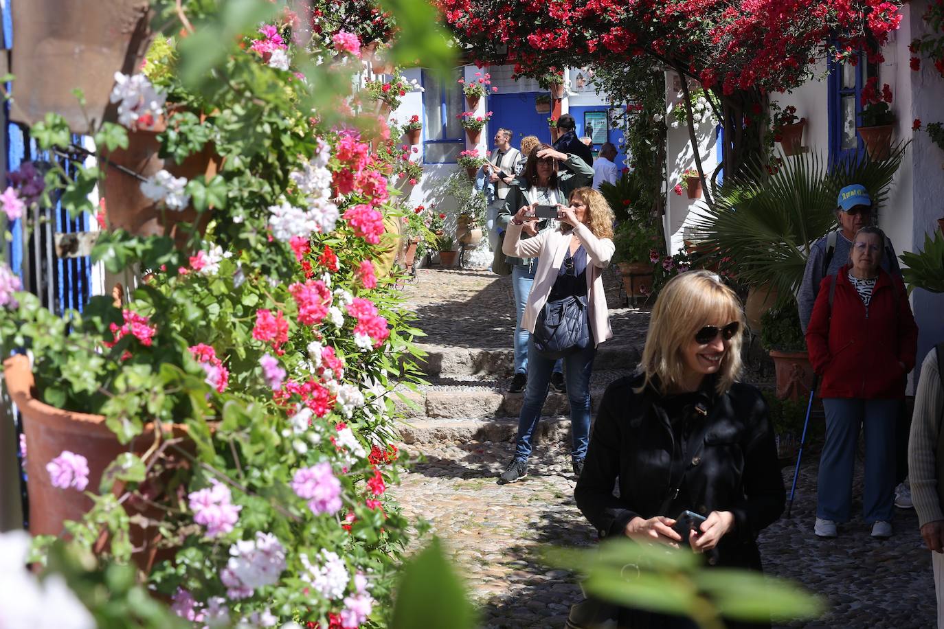 Las mejores imágenes de los Patios de Córdoba en los barrios de Santa Marina y San Agustín