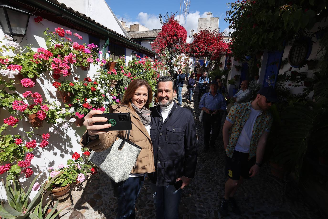 Las mejores imágenes de los Patios de Córdoba en los barrios de Santa Marina y San Agustín