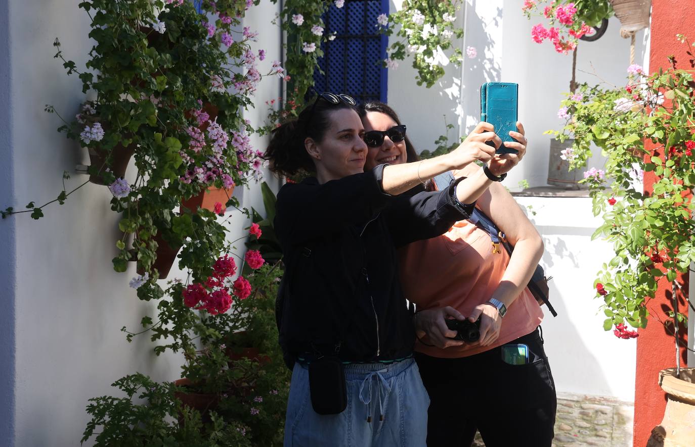 Las mejores imágenes de los Patios de Córdoba en los barrios de Santa Marina y San Agustín