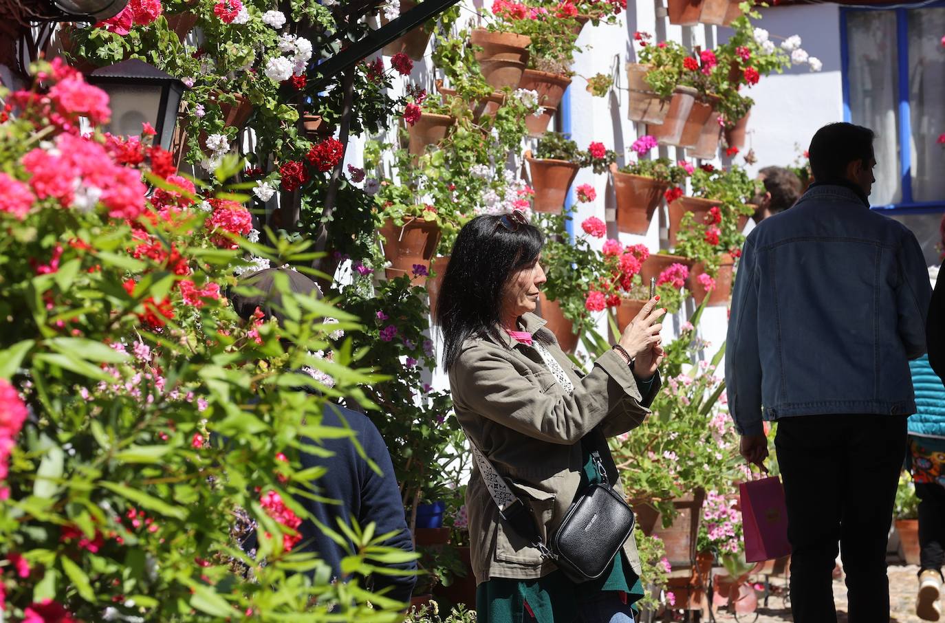 Las mejores imágenes de los Patios de Córdoba en los barrios de Santa Marina y San Agustín