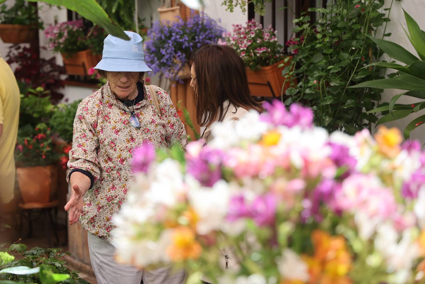 Las mejores imágenes de los Patios de Córdoba en los barrios de Santa Marina y San Agustín