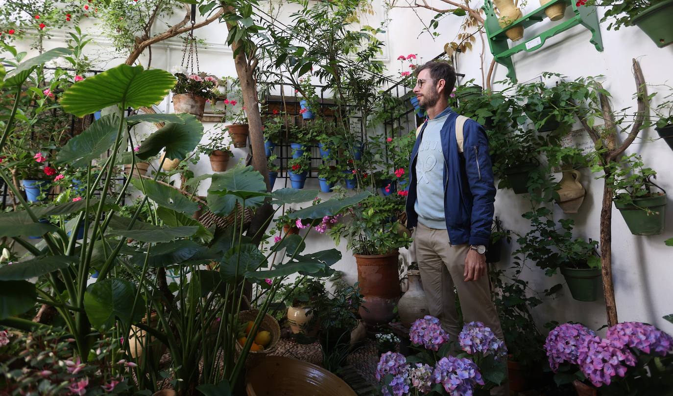 Las mejores imágenes de los Patios de Córdoba en los barrios de Santa Marina y San Agustín