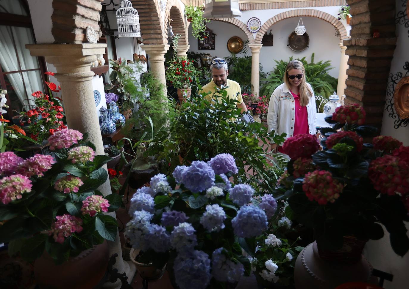 Las mejores imágenes de los Patios de Córdoba en los barrios de Santa Marina y San Agustín