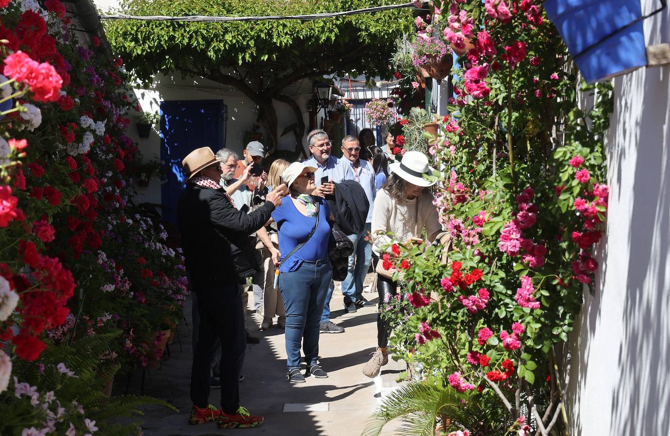 Las mejores imágenes de los Patios de Córdoba en los barrios de Santa Marina y San Agustín