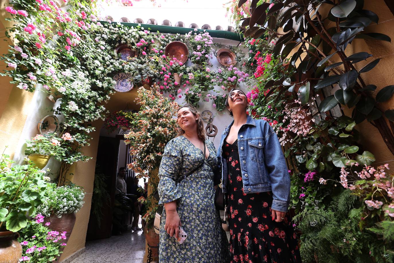 Las mejores imágenes de los Patios de Córdoba en los barrios de Santa Marina y San Agustín