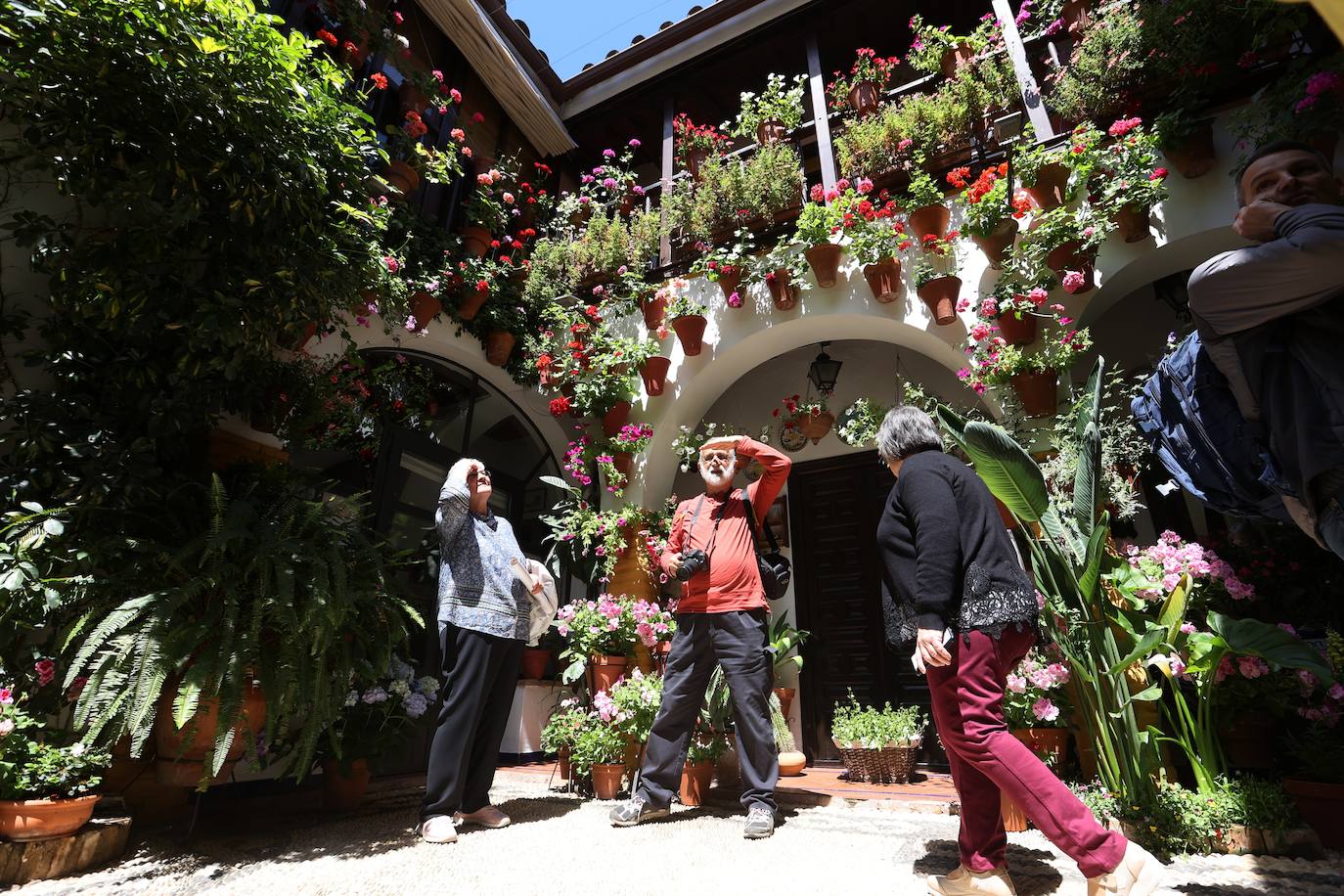 Las mejores imágenes de los Patios de Córdoba en los barrios de Santa Marina y San Agustín
