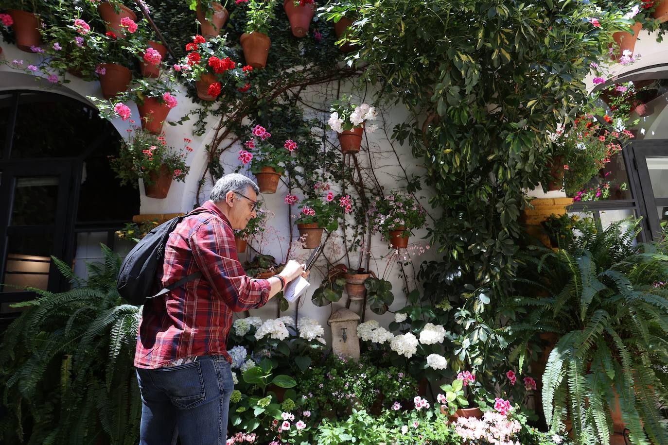 Las mejores imágenes de los Patios de Córdoba en los barrios de Santa Marina y San Agustín