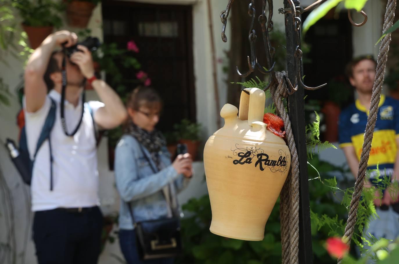 Las mejores imágenes de los Patios de Córdoba en los barrios de Santa Marina y San Agustín