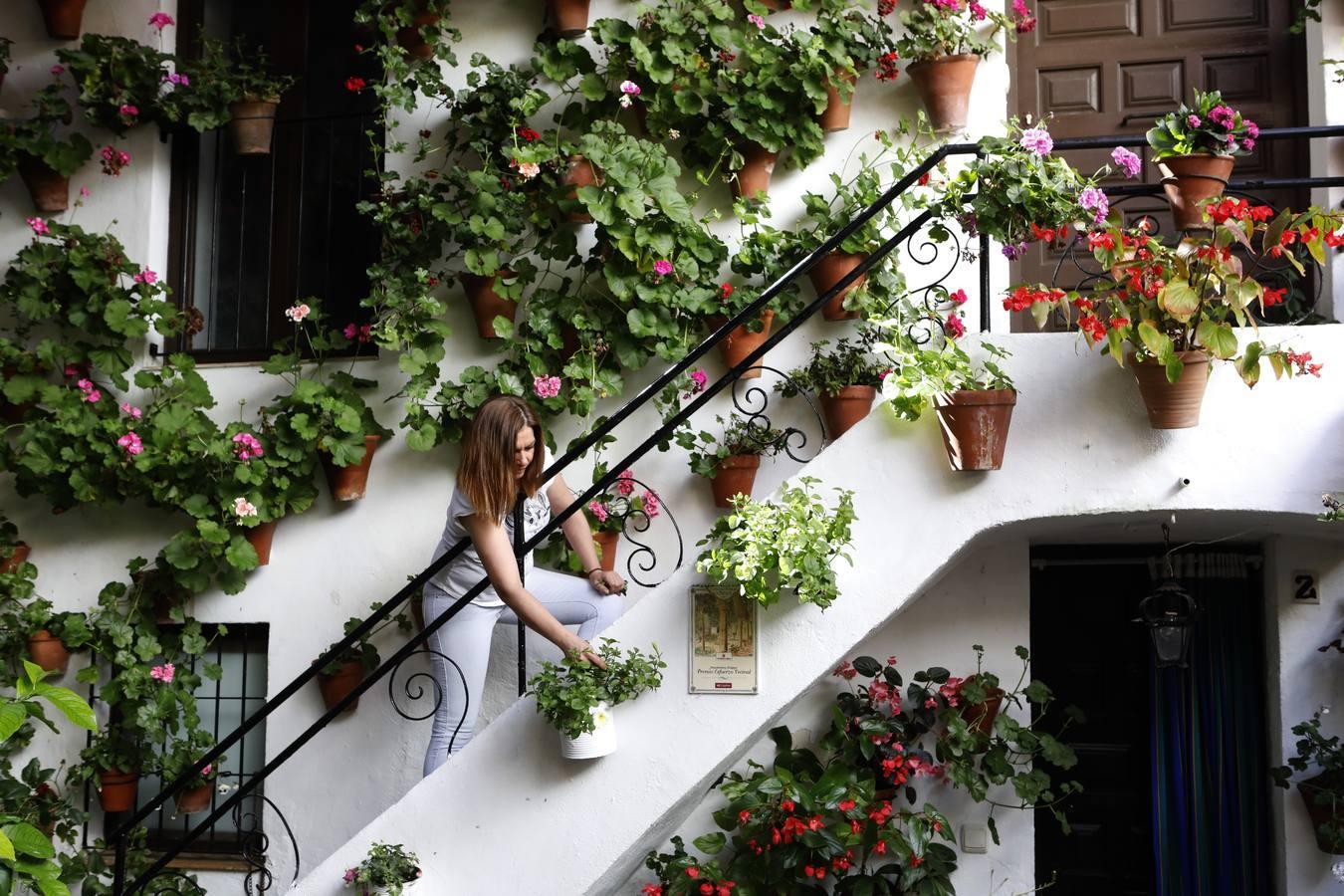 Origen de los patios de Córdoba