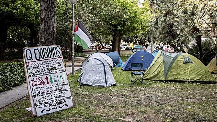 Imagen de la acampada solidaria con Palestina en la Universidad de Valencia