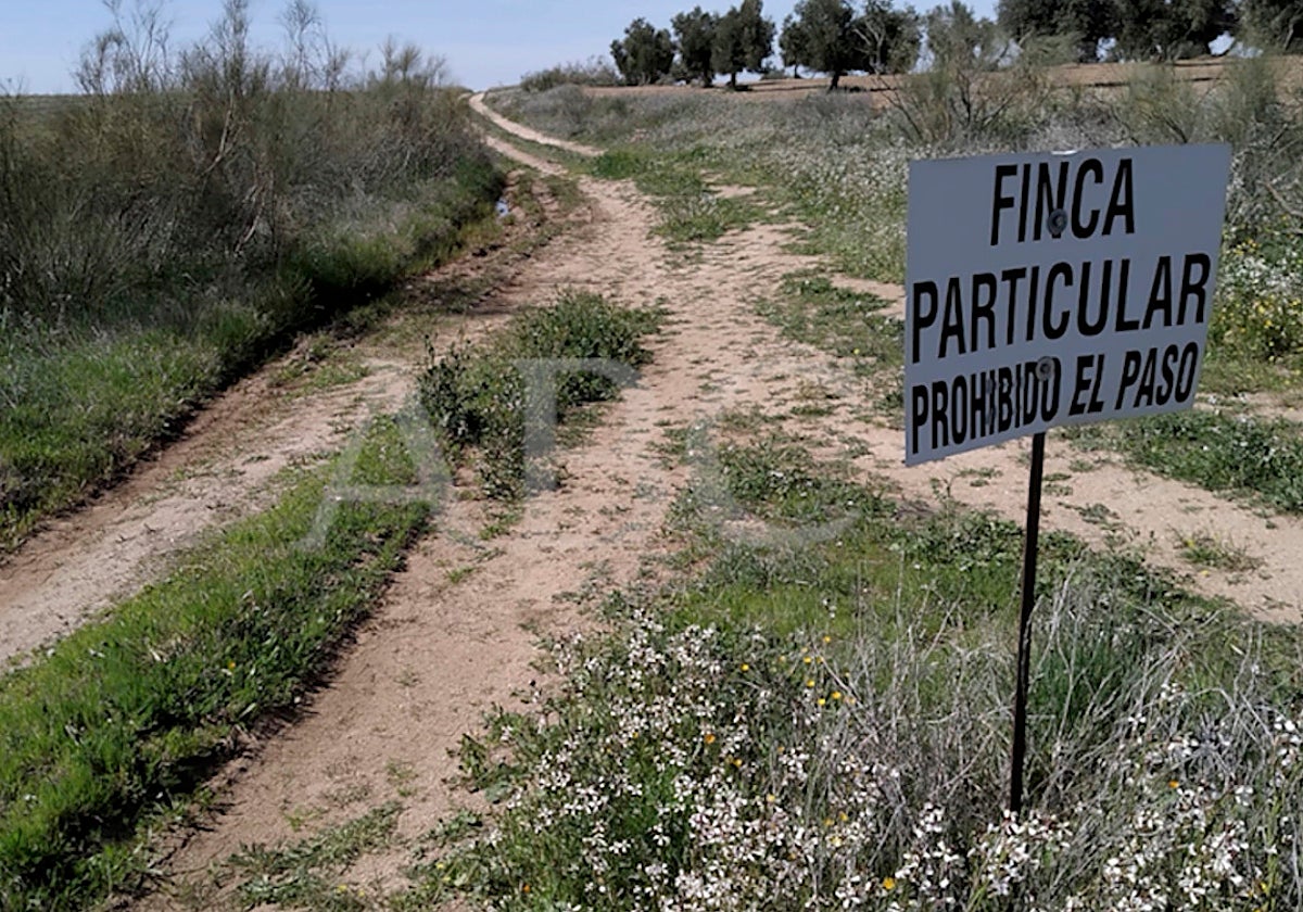 Por ese camino, a 200 metros y pasada la loma, fue hallado el cuerpo sin vida de Teodora