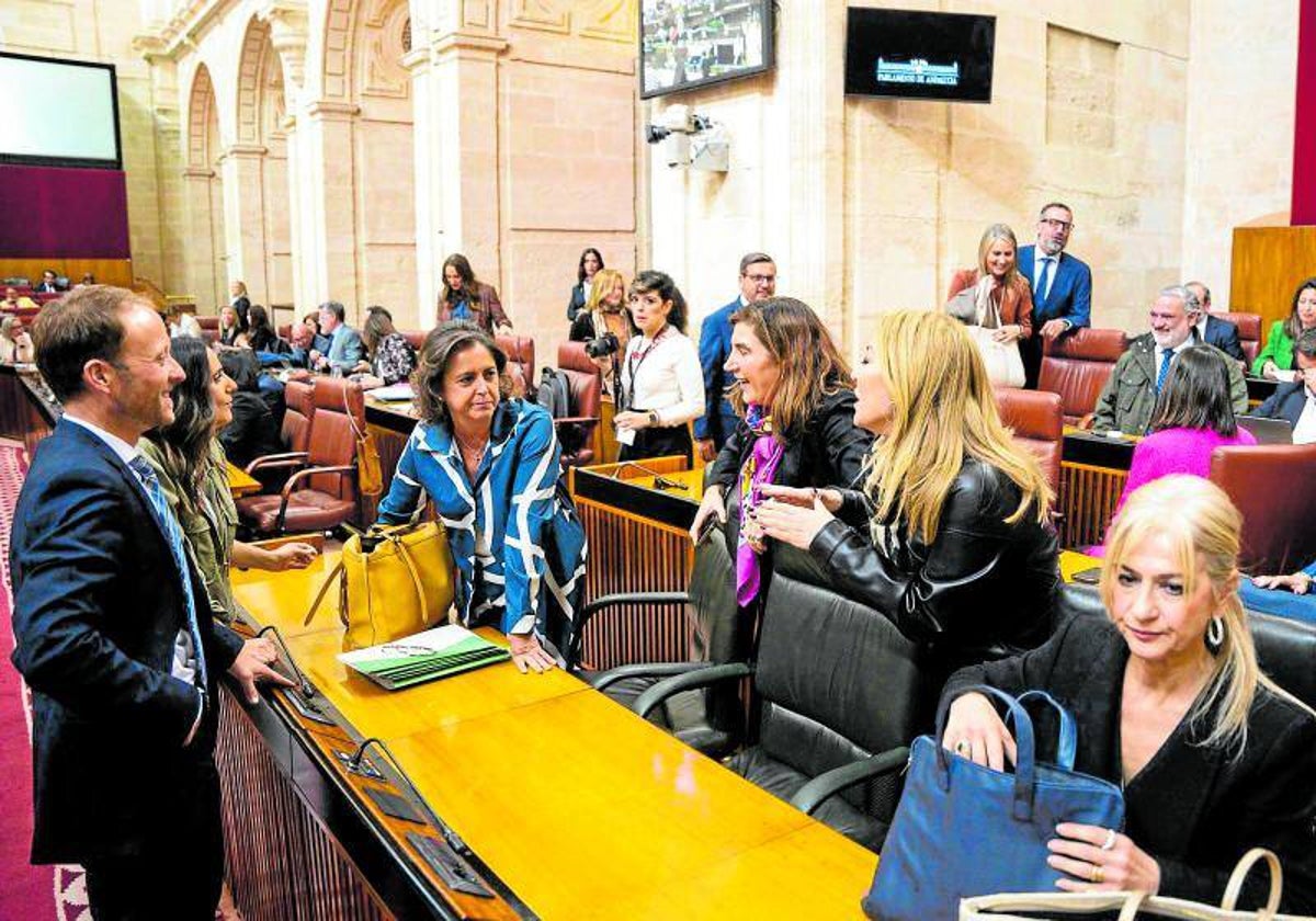 La consejera de Salud y Consumo Catalina García, en el Parlamento