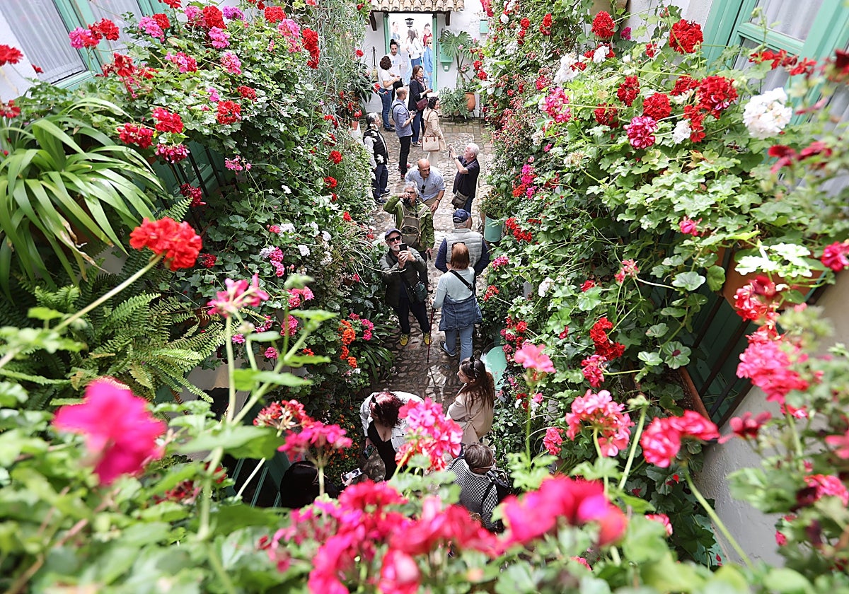 Visitantes en los patios del Alcázar Viejo