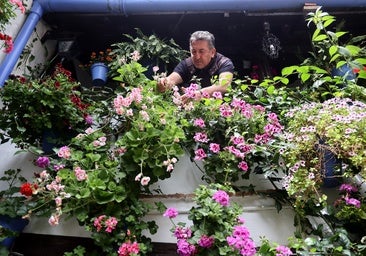 Los secretos mejor guardados de los Patios de Córdoba