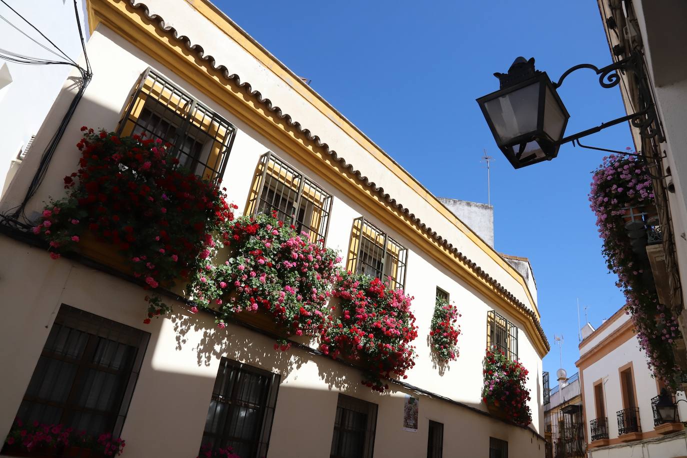 Fotos: Los bellos primeros premios del Concurso de Rejas y Balcones de Córdoba 2024