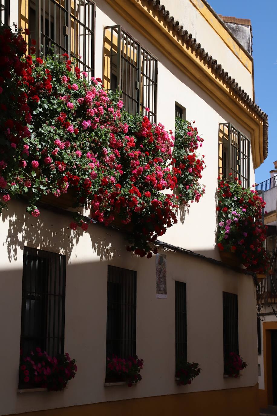 Fotos: Los bellos primeros premios del Concurso de Rejas y Balcones de Córdoba 2024
