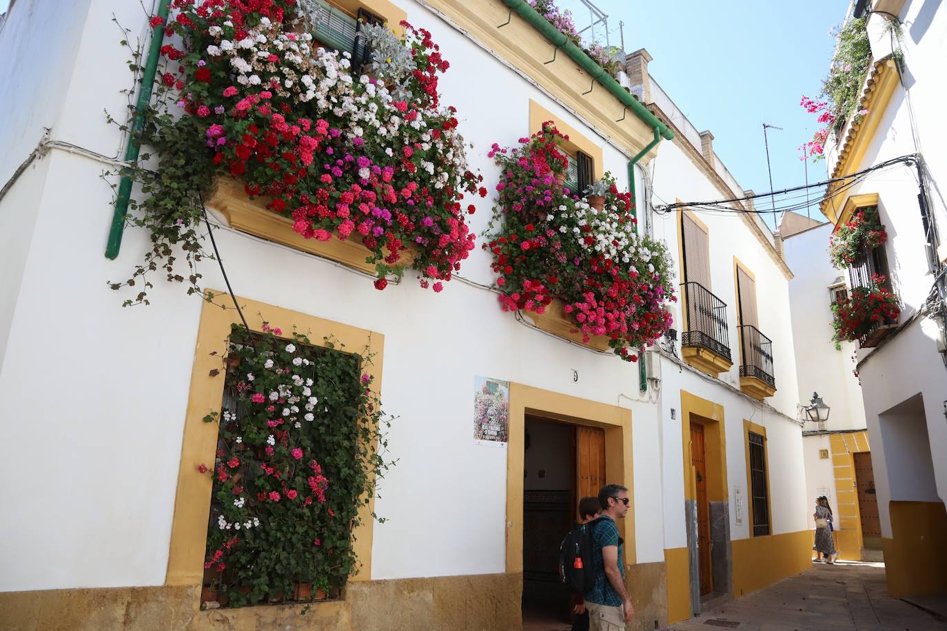 Fotos: Los bellos primeros premios del Concurso de Rejas y Balcones de Córdoba 2024