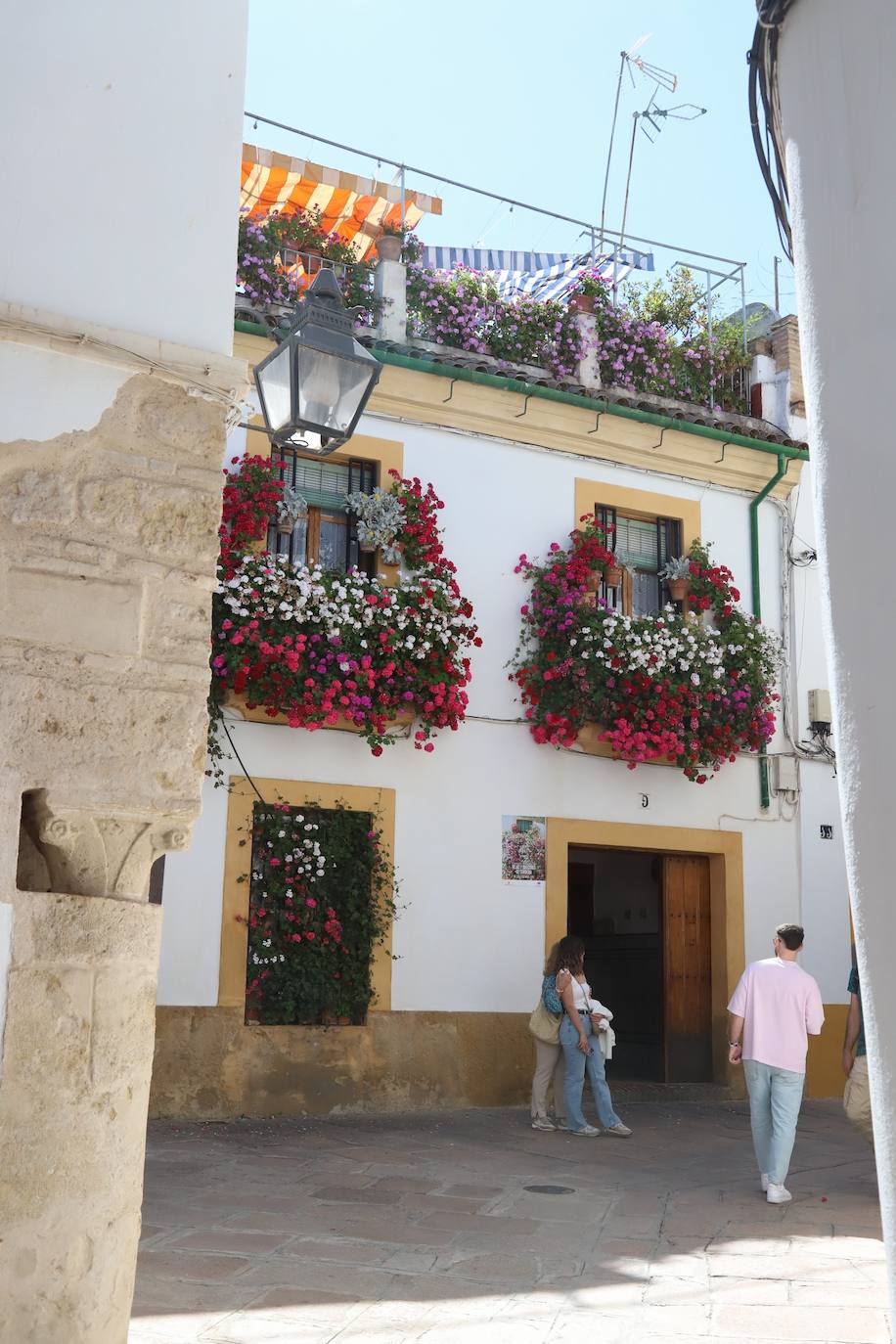 Fotos: Los bellos primeros premios del Concurso de Rejas y Balcones de Córdoba 2024