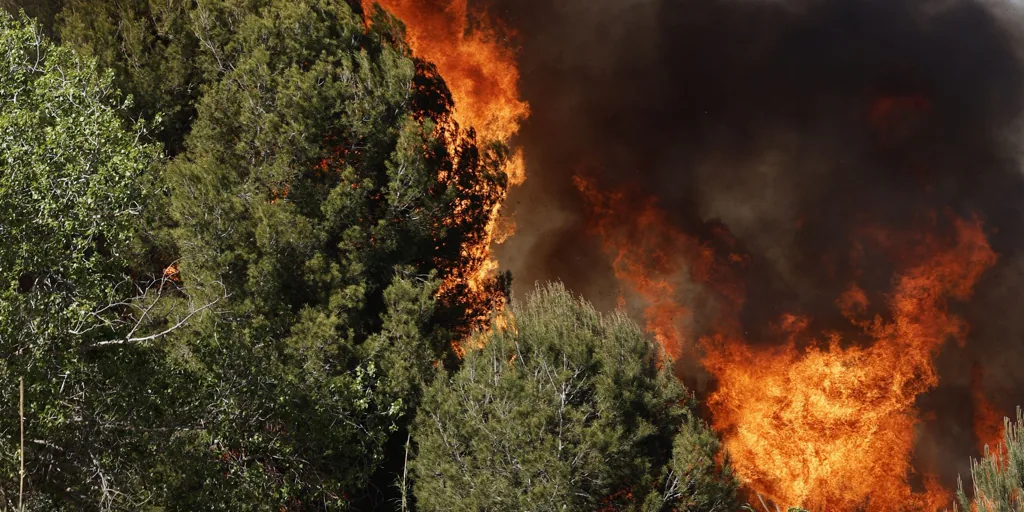 La Guardia Civil investiga las causas del incendio forestal en la localidad valenciana de Riba-roja de Túria