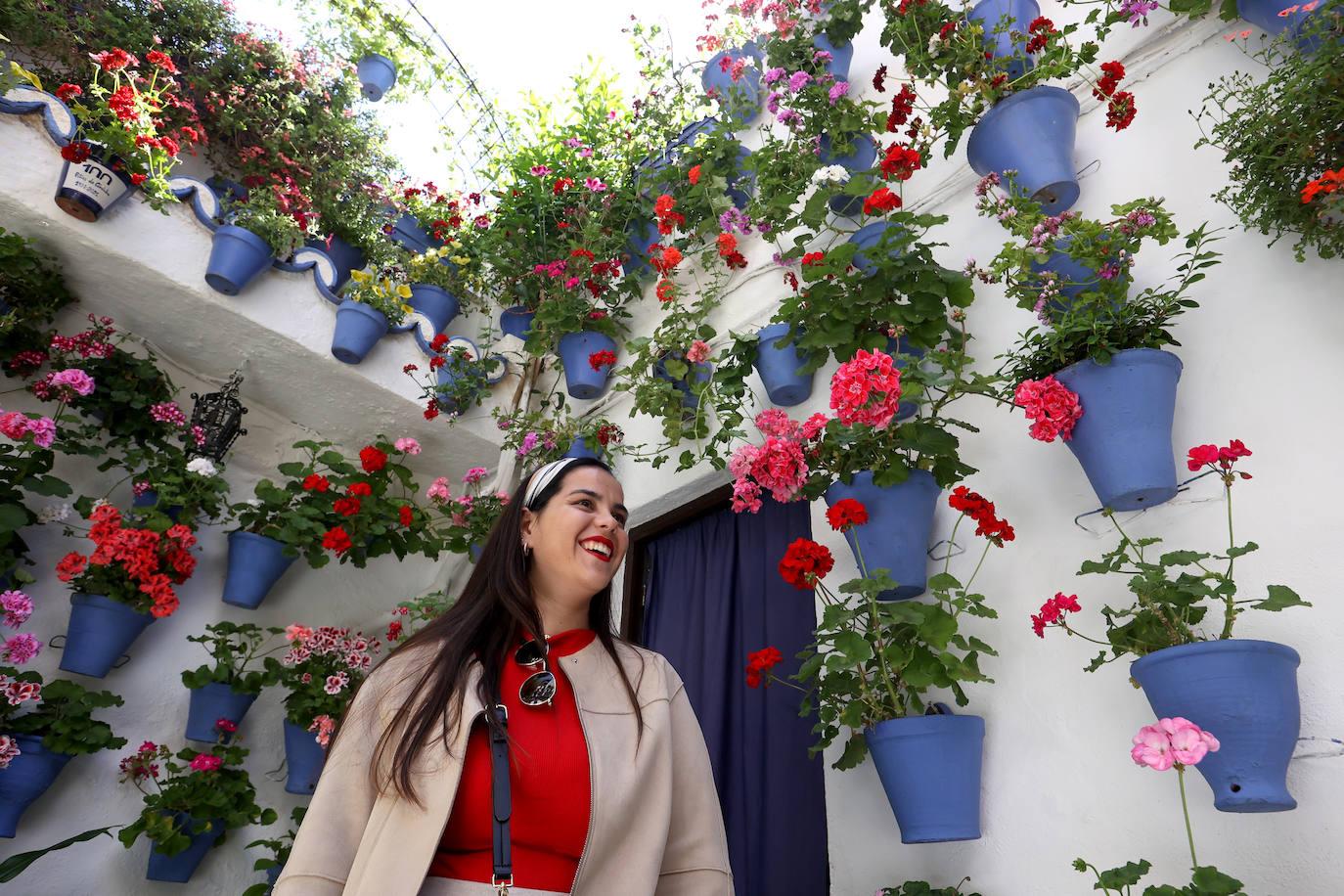 Macetas azules en los patios cordobeses