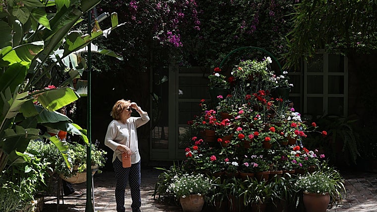 Patio de la plaza de las Tazas
