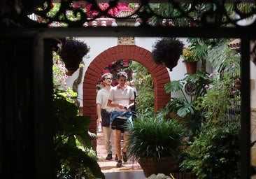 Fotos: Los Patios en los barrios de Santiago y San Pedro