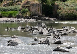 El exiguo caudal del Tajo a su por Toledo en mayo de 2024, en imágenes