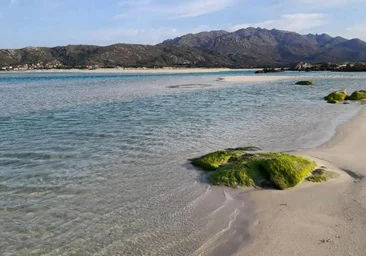 La playa de Galicia donde se unen las marismas y el océano que recomienda visitar National Geographic