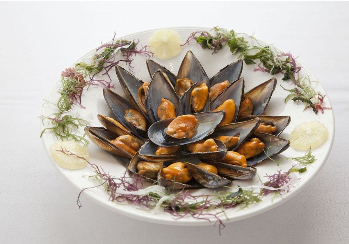Imagen de un plato de clóchina valenciana