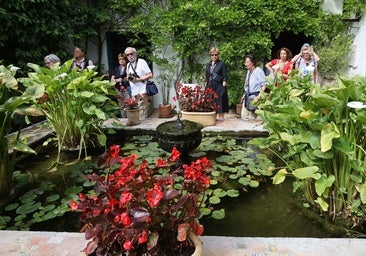 La belleza de los patios del Palacio de Viana