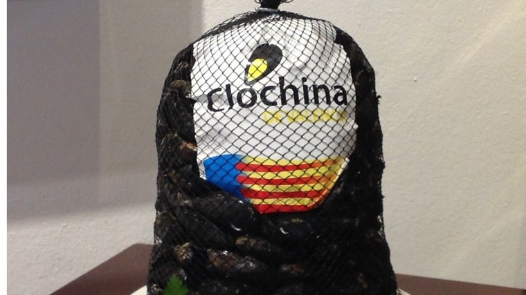 Imagen de un saco de clóchinas valencianas