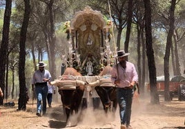 ¿Cuántas hermandades del Rocío hay en la provincia de Sevilla?