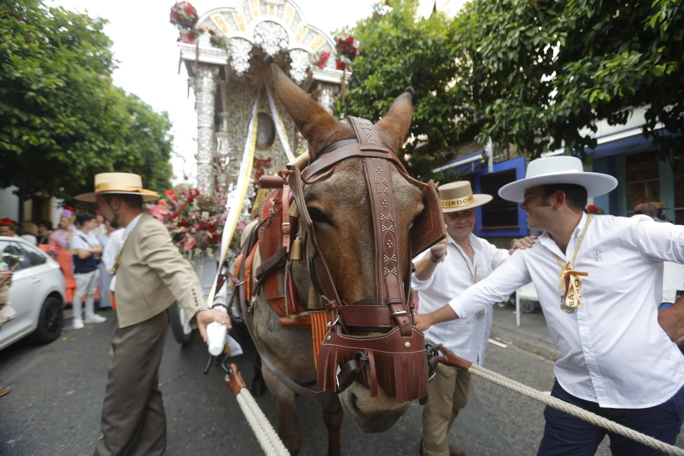 Fotos: La emocionante salida de la hermandad del Rocío de Córdoba