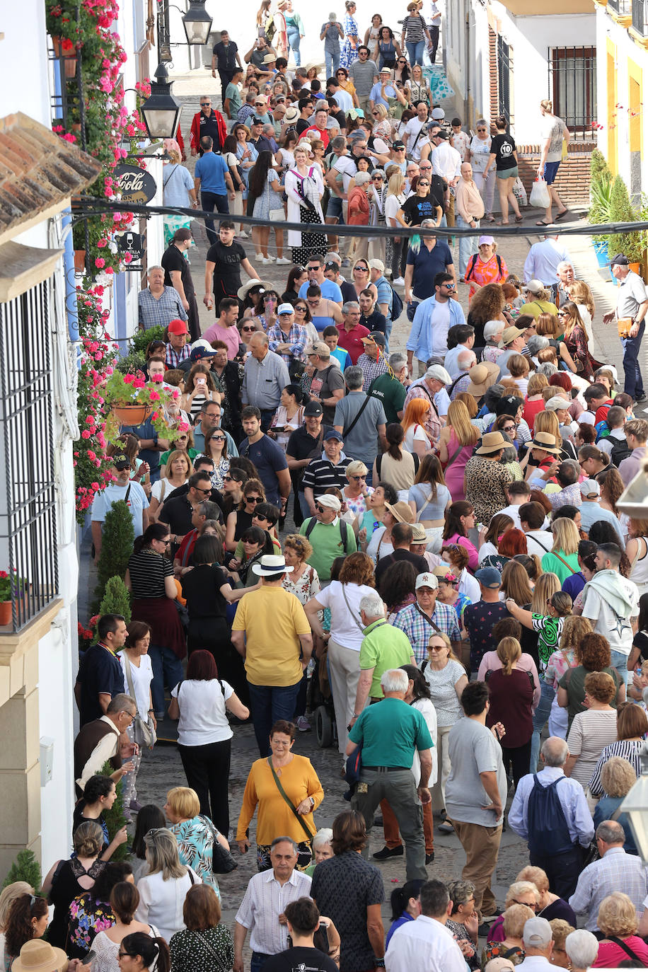 Las imponentes colas del último sábado de los Patios de Córdoba, en imágnes