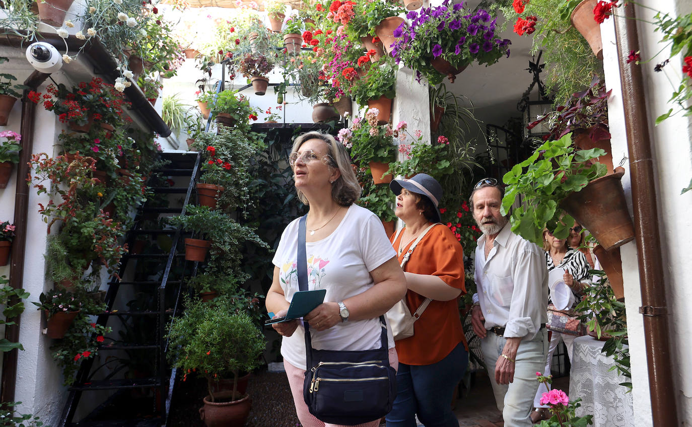 Las imponentes colas del último sábado de los Patios de Córdoba, en imágnes