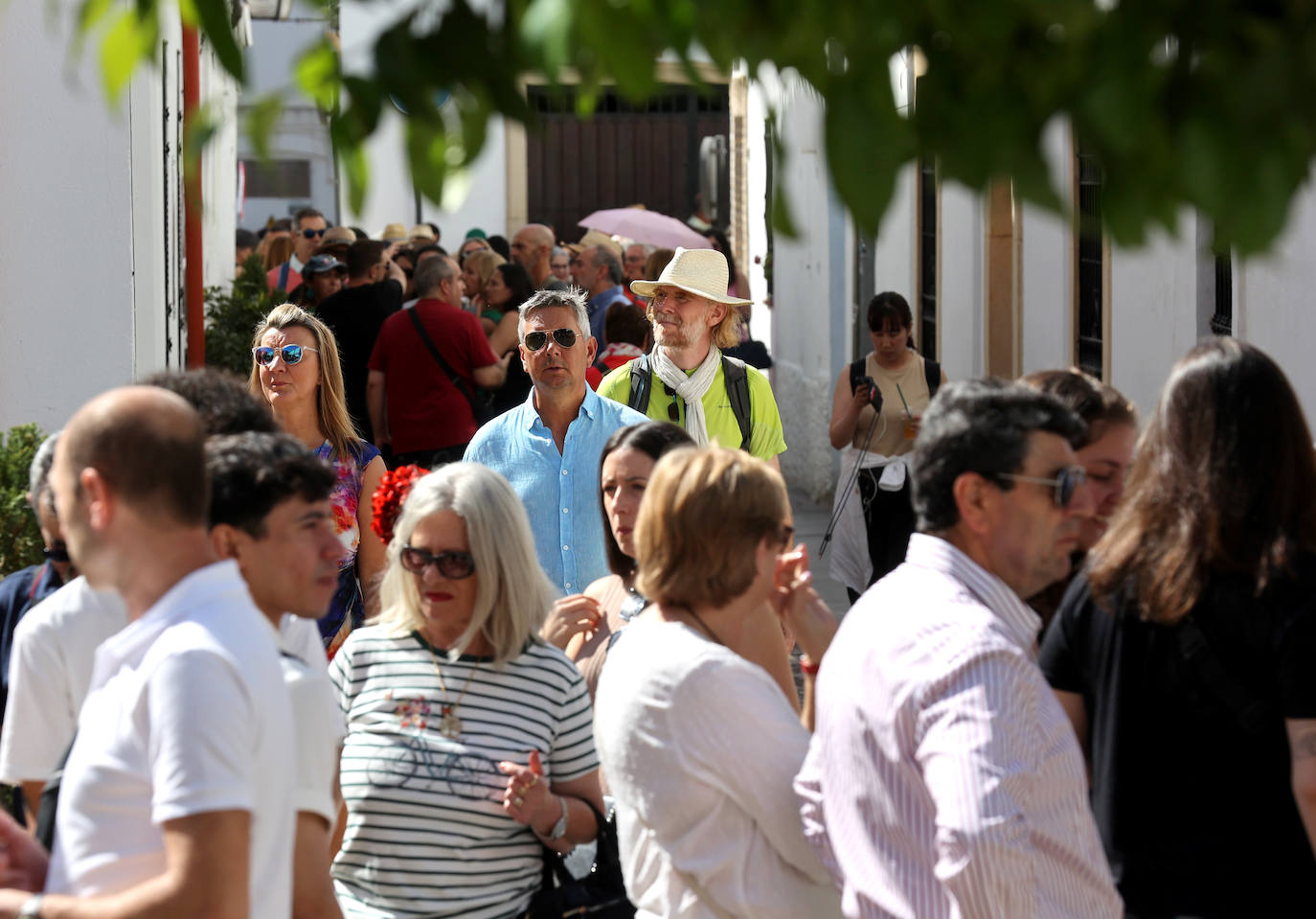 Las imponentes colas del último sábado de los Patios de Córdoba, en imágnes