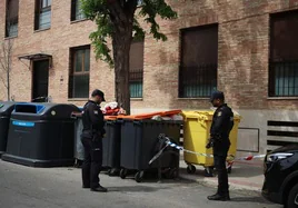 Hallan un bebé muerto junto a un contenedor en Barajas (Madrid)