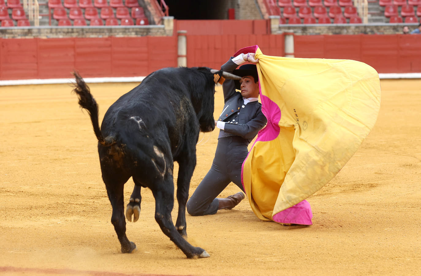 Las mejores fotos de la becerrada de homenaje a la afición cordobesa