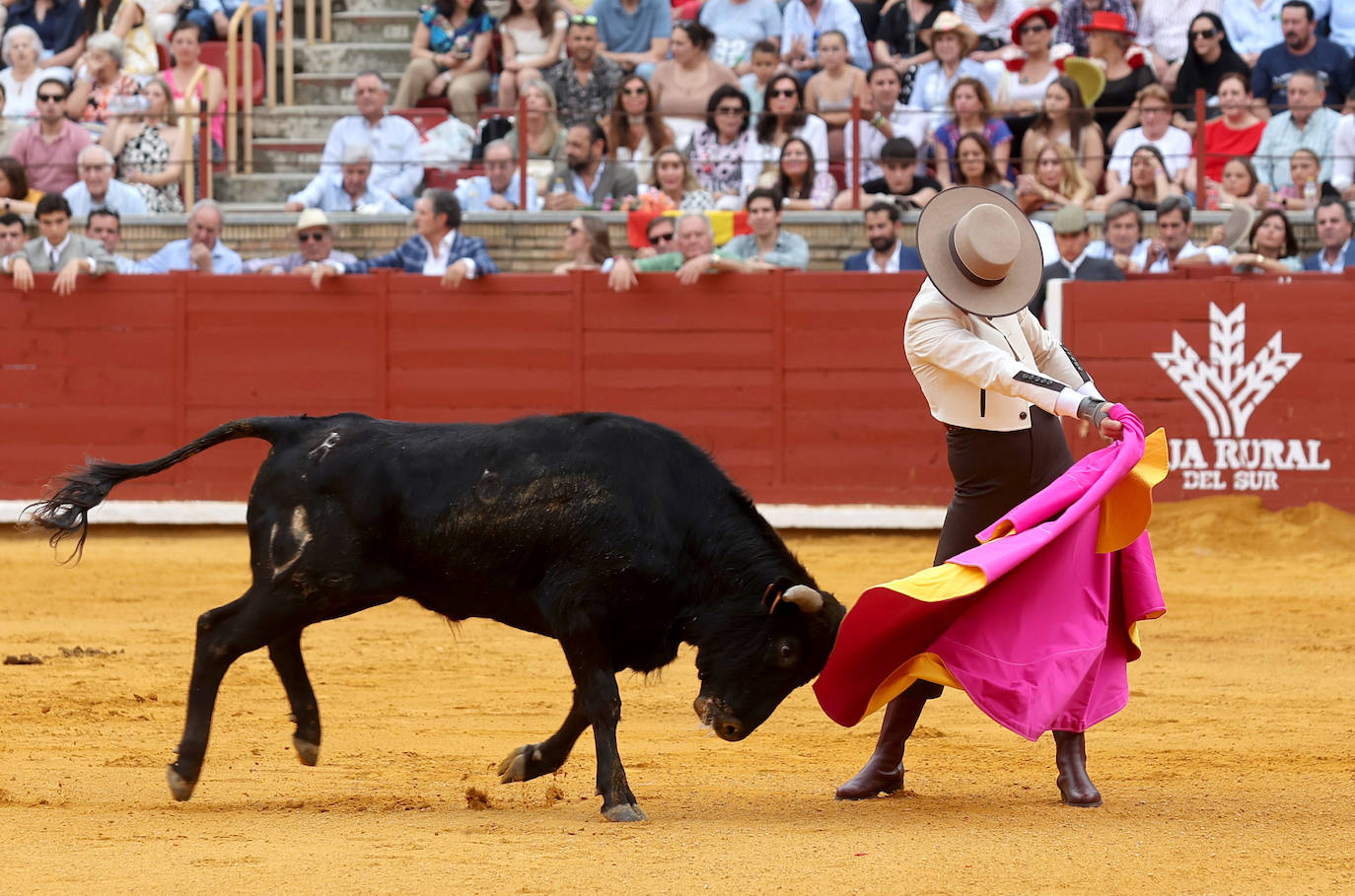 Las mejores fotos de la becerrada de homenaje a la afición cordobesa