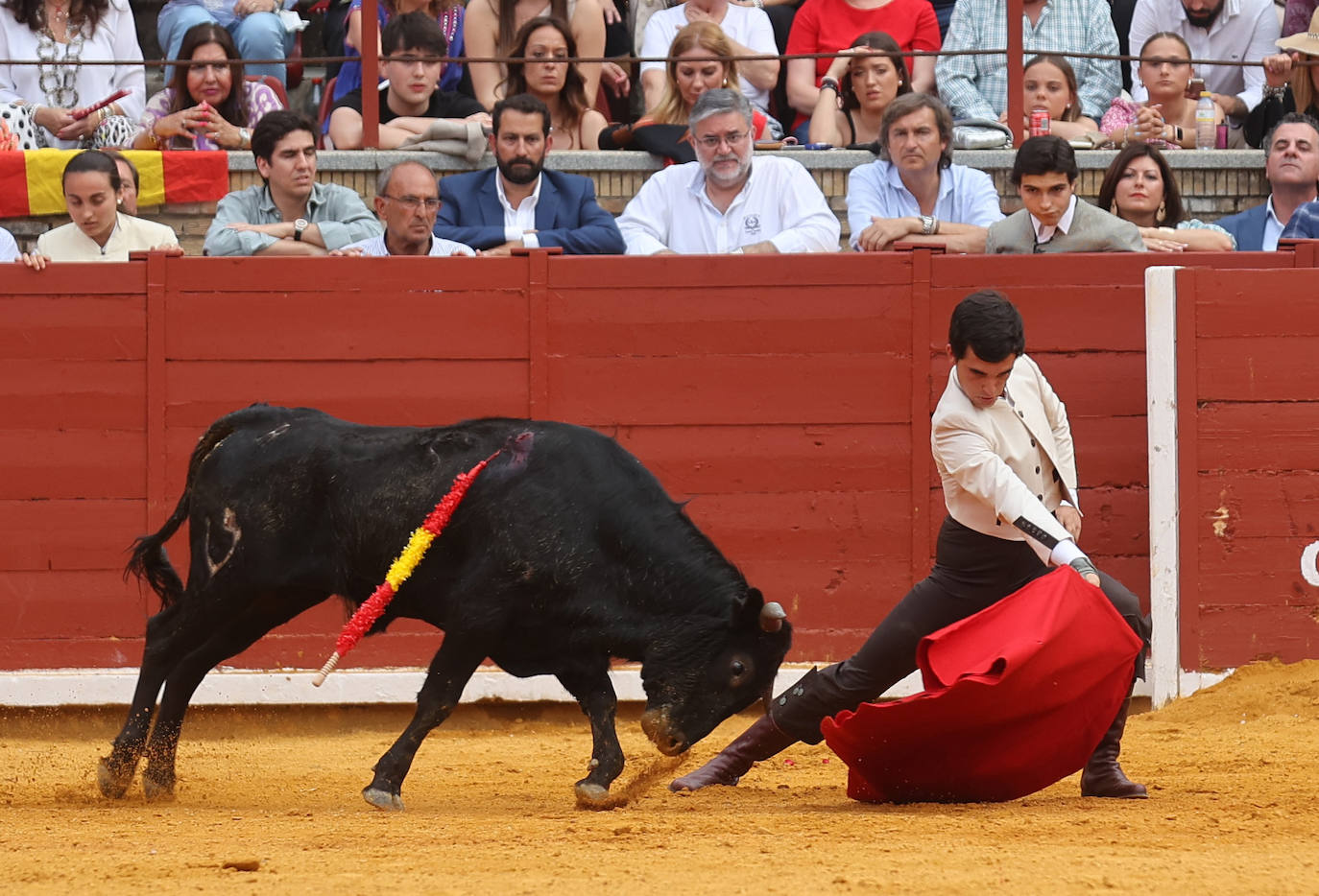 Las mejores fotos de la becerrada de homenaje a la afición cordobesa