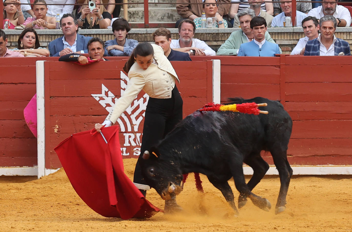 Las mejores fotos de la becerrada de homenaje a la afición cordobesa