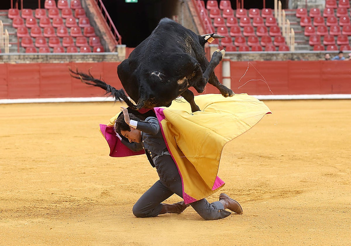 Las mejores fotos de la becerrada de homenaje a la afición cordobesa
