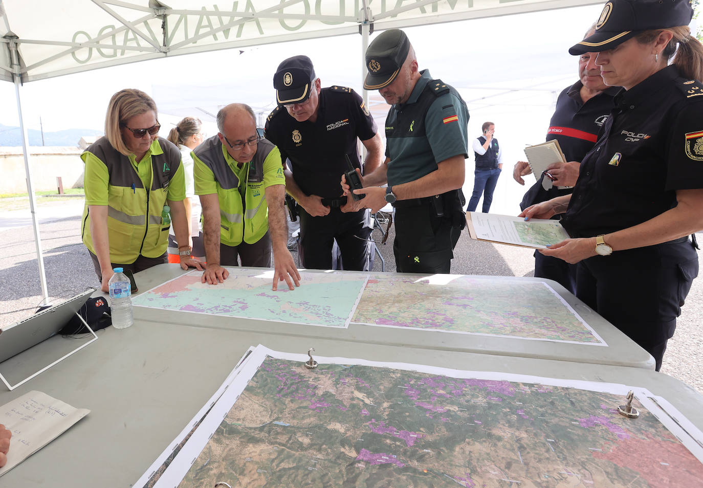 Fotos: así se dirige la lucha contra un incendio forestal en Córdoba
