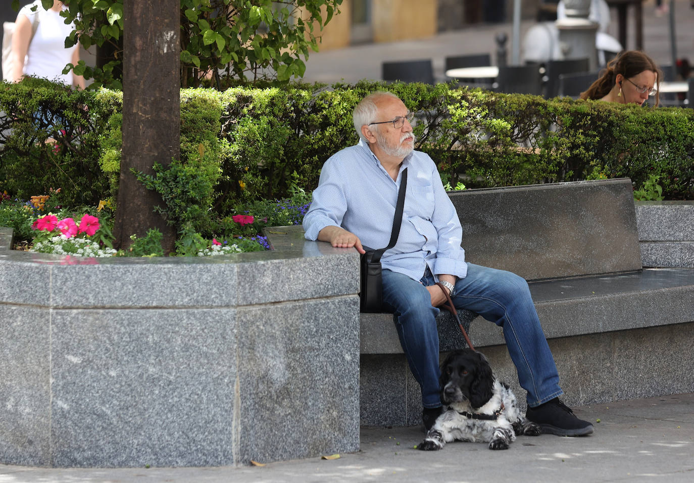 Fotos: la nueva plaza de Las Tendillas, al detalle tras cumplir 25 años