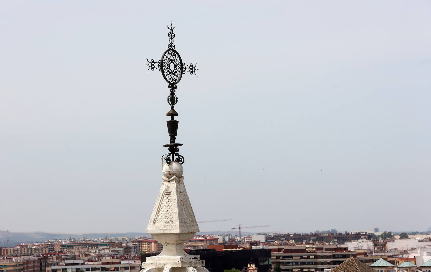 Fotos: la nueva plaza de Las Tendillas, al detalle tras cumplir 25 años