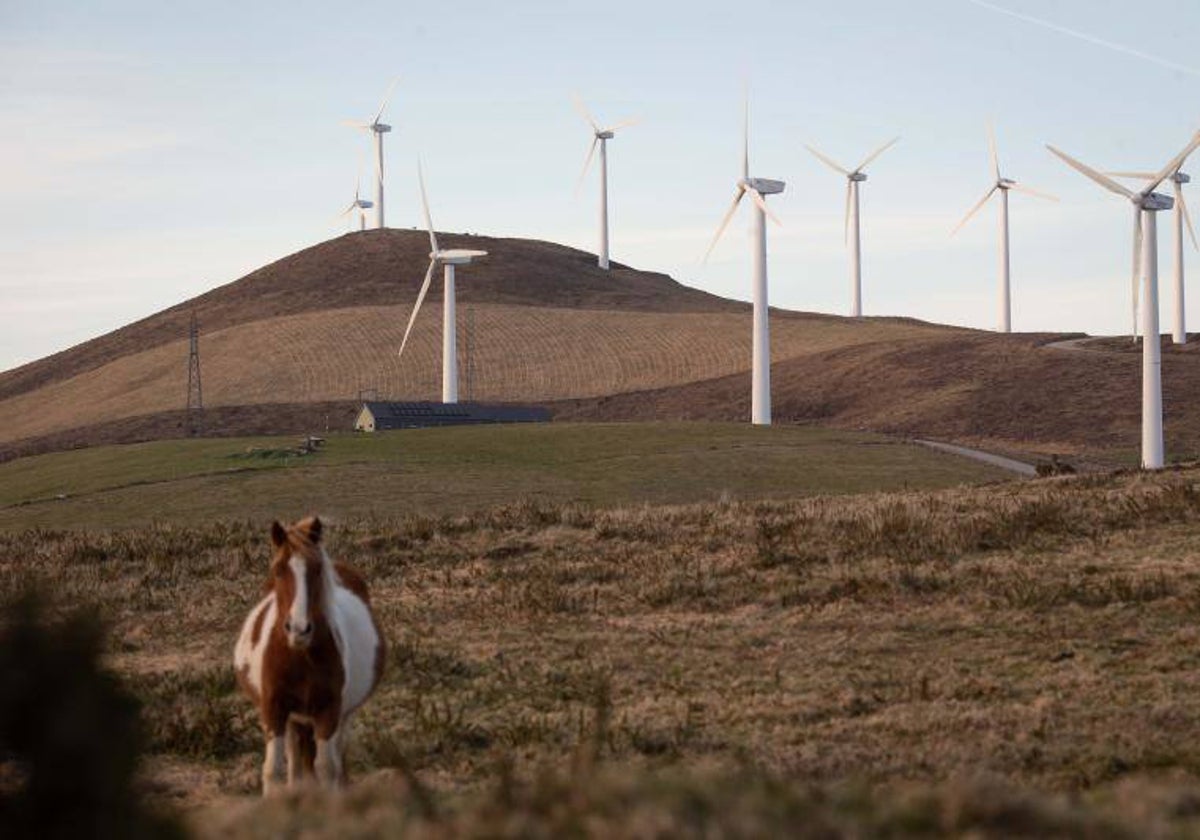 El TSXG paralizó hace poco la ampliación del parque de Vilachá, en Lugo (imagen)