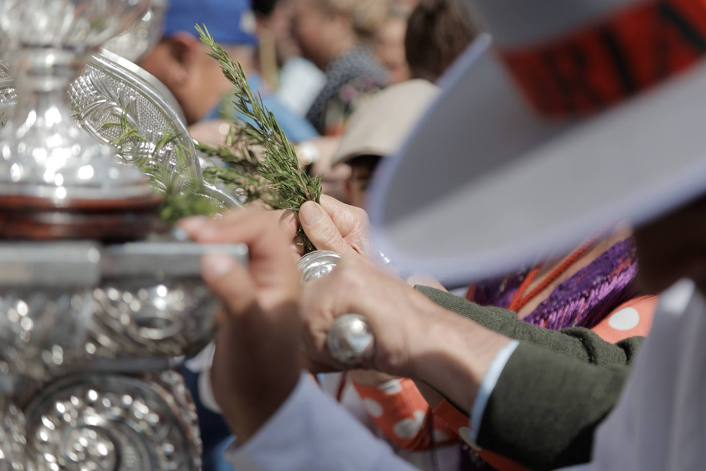 La Hermandad de Coria del Río ha iniciado hoy martes su peregrinación hacia la aldea del Rocío 