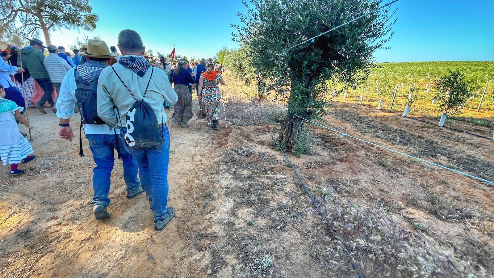 Estampas de la hermandad de Coria del Río en su segundo día de camino hacia El Rocío